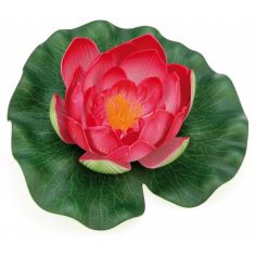 Pontec PondoLily Red