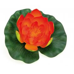 Pontec PondoLily Orang