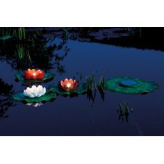 Pontec PondoSolar Lily LED... 2