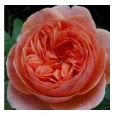 Чиппендейл