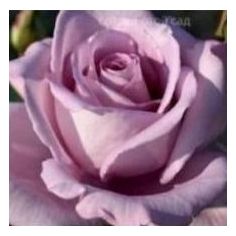 Майнцер Фастнахт