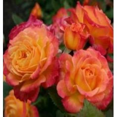 Гартенспасс